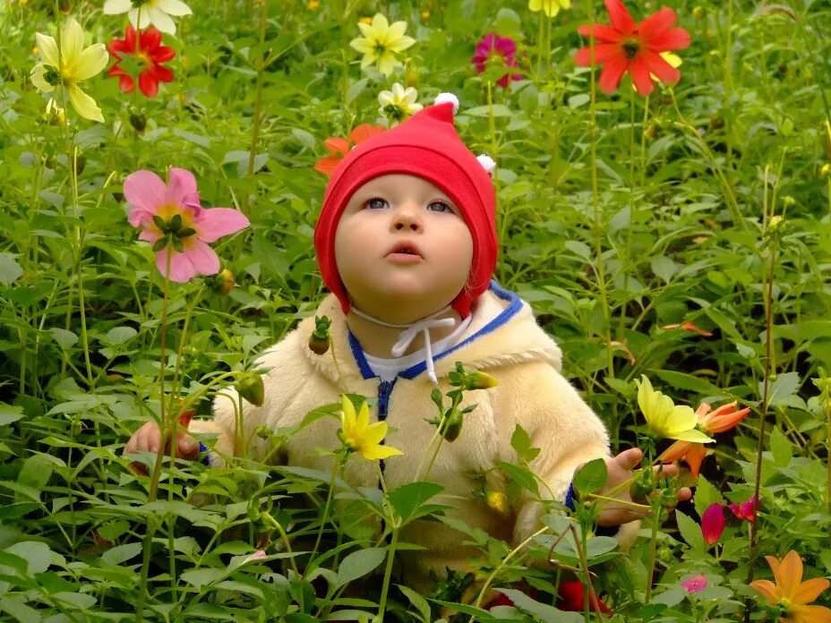 Дети цветов 1. Фотосессия в зелено красных цветах. Малыши. Слава дети цветы. Девочка Маша среди цветов. Дети цветы жизни пока.