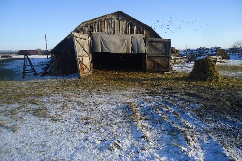 Погода в село родино алтайского края. Село Поломошное Алтайского края Новичихинского района. Село Мельниково Алтайский край. Деревня Сизикова Исетский район. Тюменская область Исетский район деревня Сизикова.