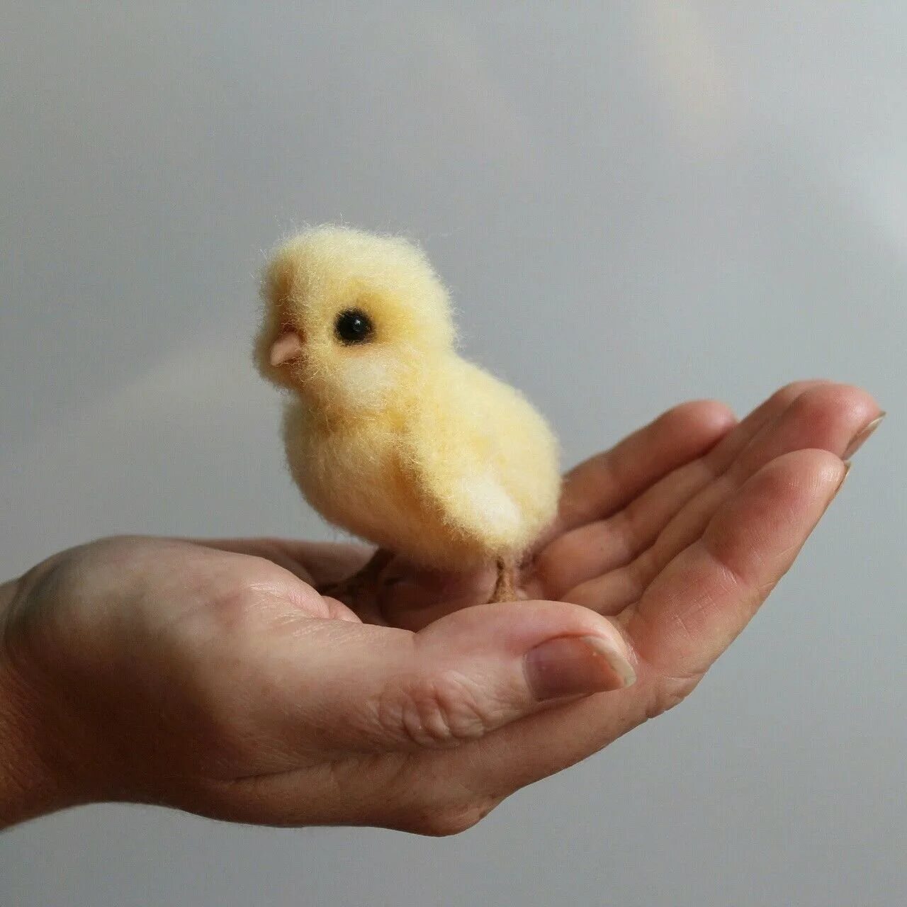 Маленькие цыпы. Самые маленькие цыплята. Милый цыпленок. Птенчик. Милые птенчики.