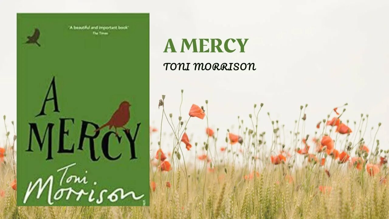 Тони Моррисон "возлюбленная". Тони Моррисон - возлюбленная аудиокнига. A Mercy» by Toni Morrison. Toni Morrison Analyses Paradise.