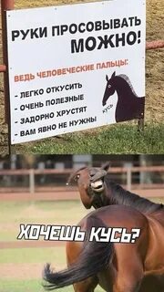 Явно не со мной