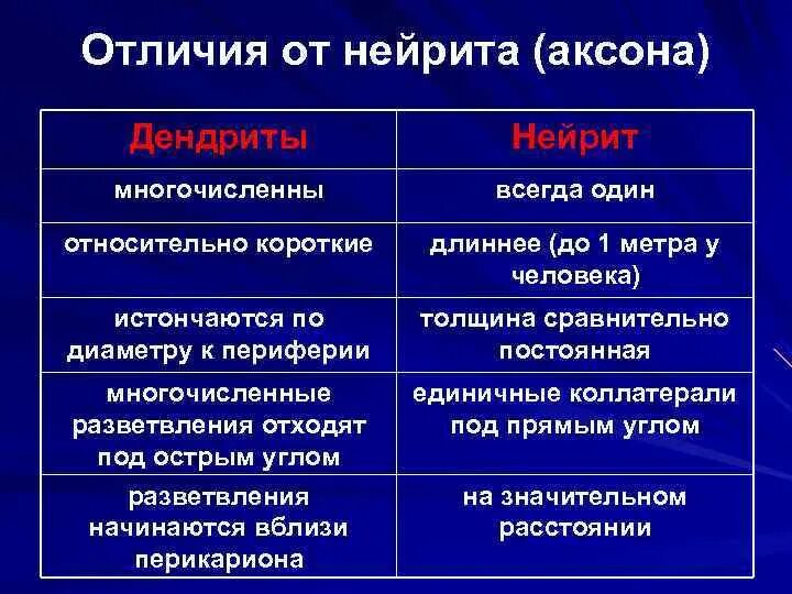 Перечислите функции дендритов и аксонов. Аксоны и дендриты различия. функции аксона и дендрита. дендрит и аксон различия. различия аксона и дендрита.