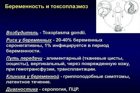 Дали возбудитель