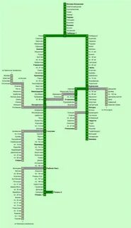 Расписание электричек старая березовка спортивная