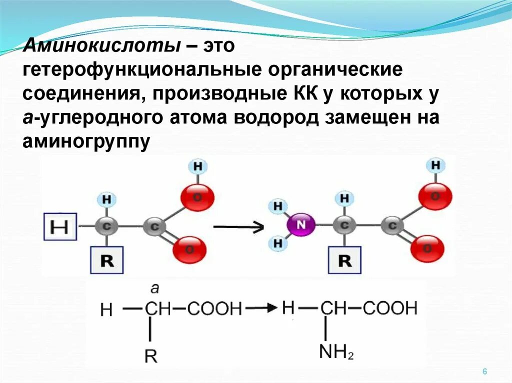 13 аминокислот