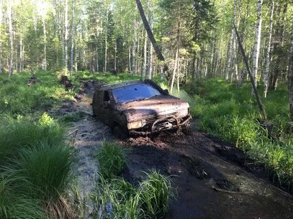 Болото 30