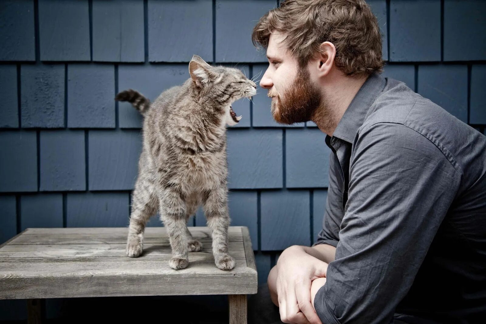 Что говорят животные людям. Кошка и хозяин. Мужчина с котом. Мужчина и животные.