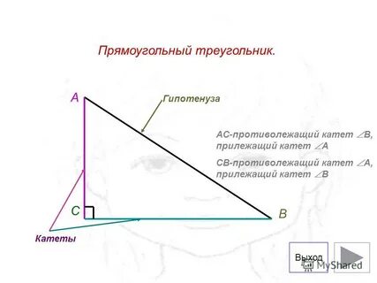 Сторона треугольника прилежащие к прямому углу