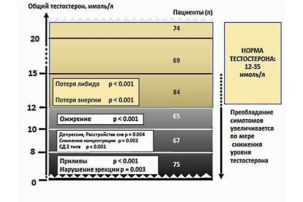 Либидо и тестостерон у мужчин