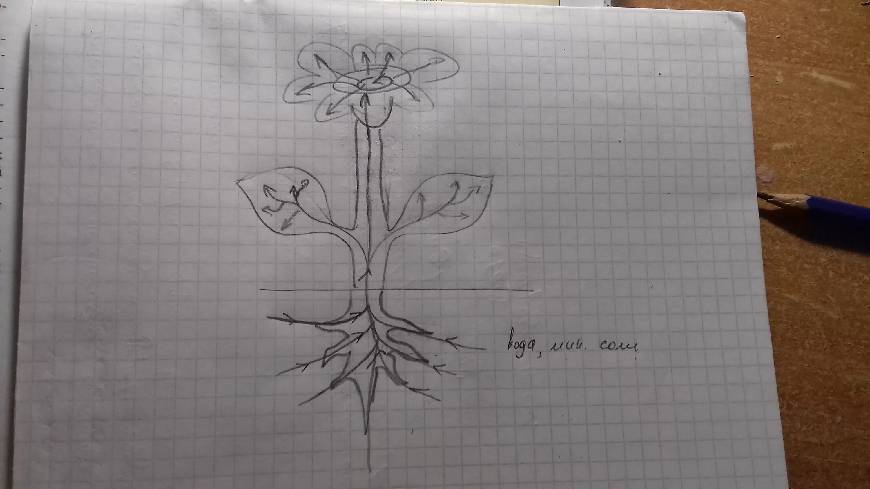 описать подпрограмму для рисования следующей фигуры. помогите картинка. с ее помощью легко. трюки с йо йо. теория цвета ньютона.