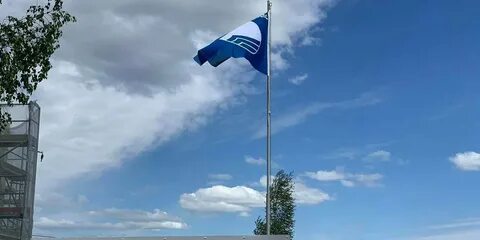Поднимем голубым