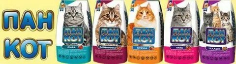 Пане коте