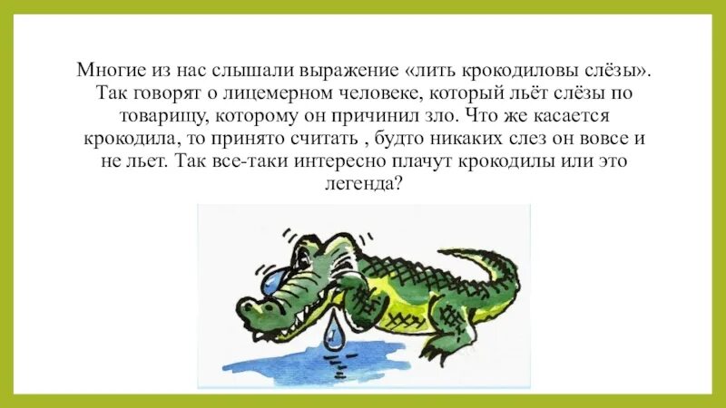 Крокодиловы слезы что хотел сказать автор. Рисунок фразеологикрокодиловы слезы. Фразеологизм Крокодиловы слезы. Фразеологизм лить крокодильи слезы. Фразеологизмы про крокодила.