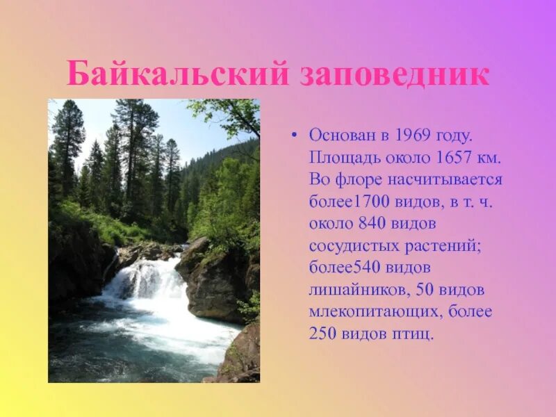 Байкальский заповедник 2 класс. Байкальский заповедник. Байкальский заповедник рассказ. Байкальский заповедник сообщение. Заповедники России Байкальский заповедник.