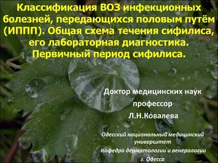 Заболевания воз