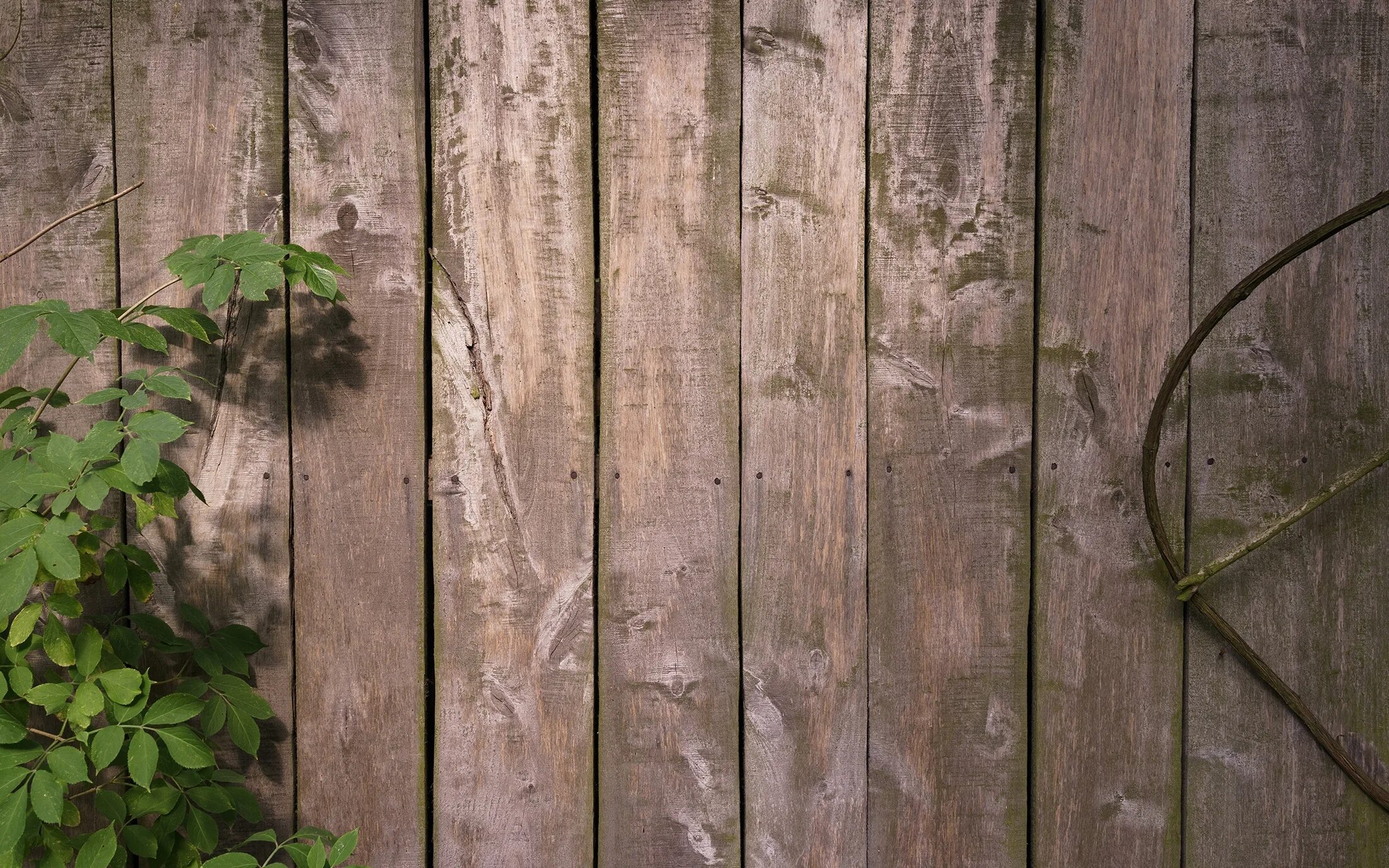 фотофон для фотошопа. фотофон для фотошопа. фактура дерева. деревянный стол в перспективе. фотофон для фотошопа.