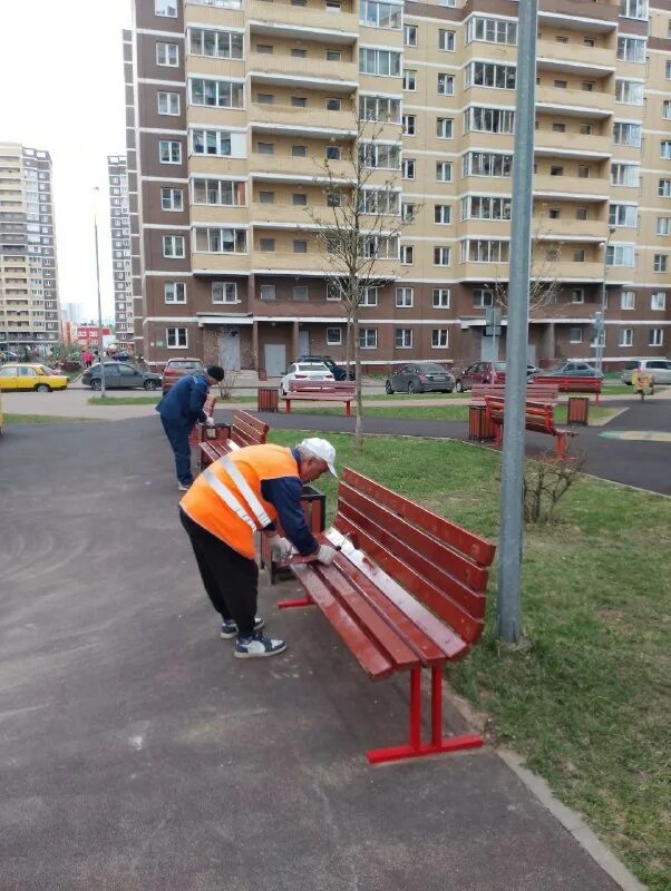 новое пушкино управляющая компания