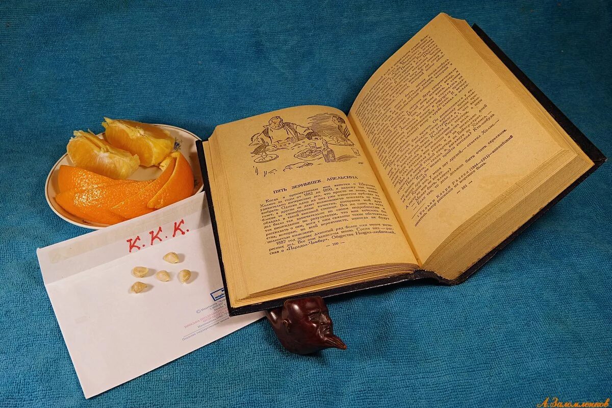 Пять апельсиновых косточек. Мандарин. Оранжевые фрукты. 5 апельсинов. Пять апельсинов или пять апельсин.