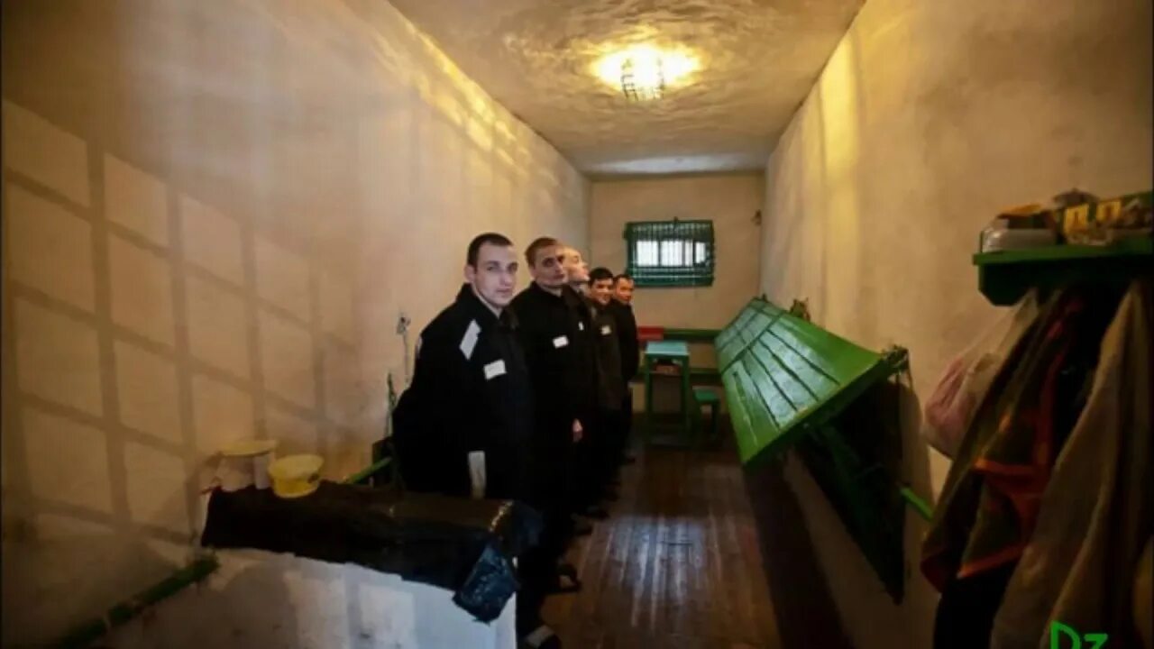 Шизо расшифровка