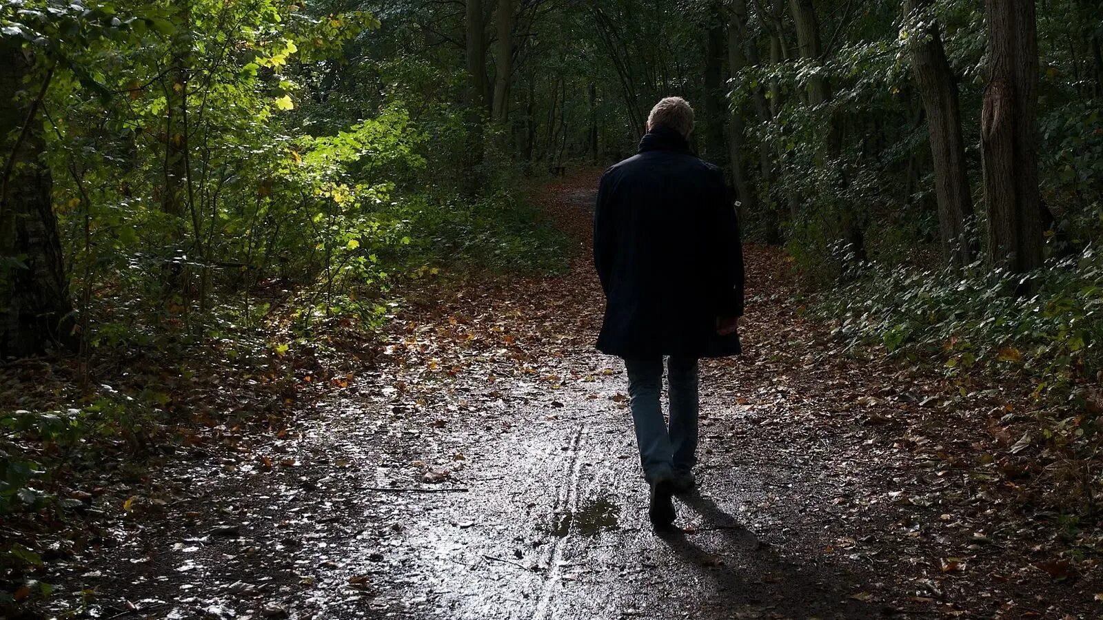 Парень в темном лесу. Уходящий в лес. Человек идет по тропинке. Один в лесу. Человек среди леса.