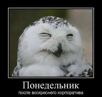 Первый день после праздника