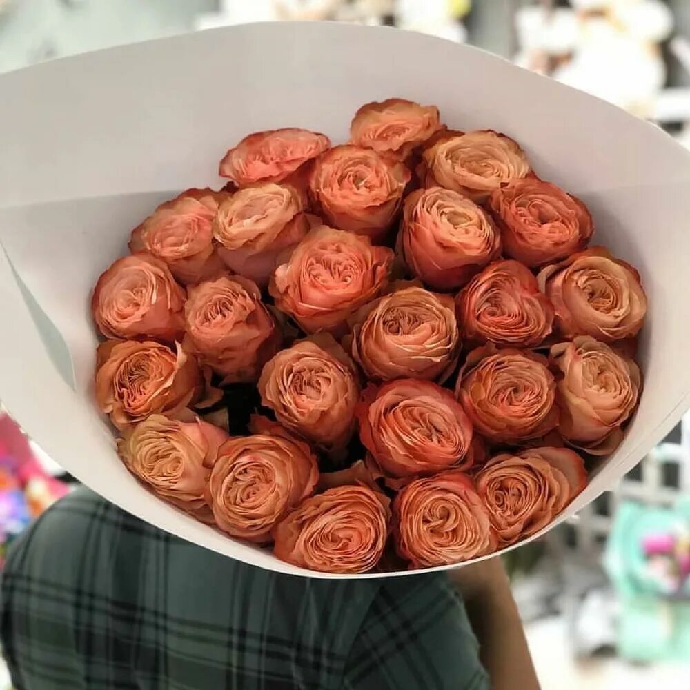 Элитные розы. Элитные розы