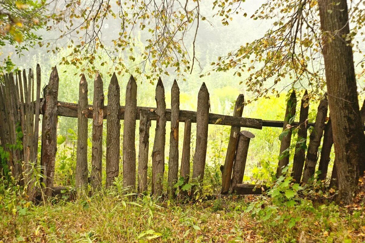 Забор старая русса. Забор старая русса. Дом гараж старое. Забор старая русса. Забор деревянный деревенский.