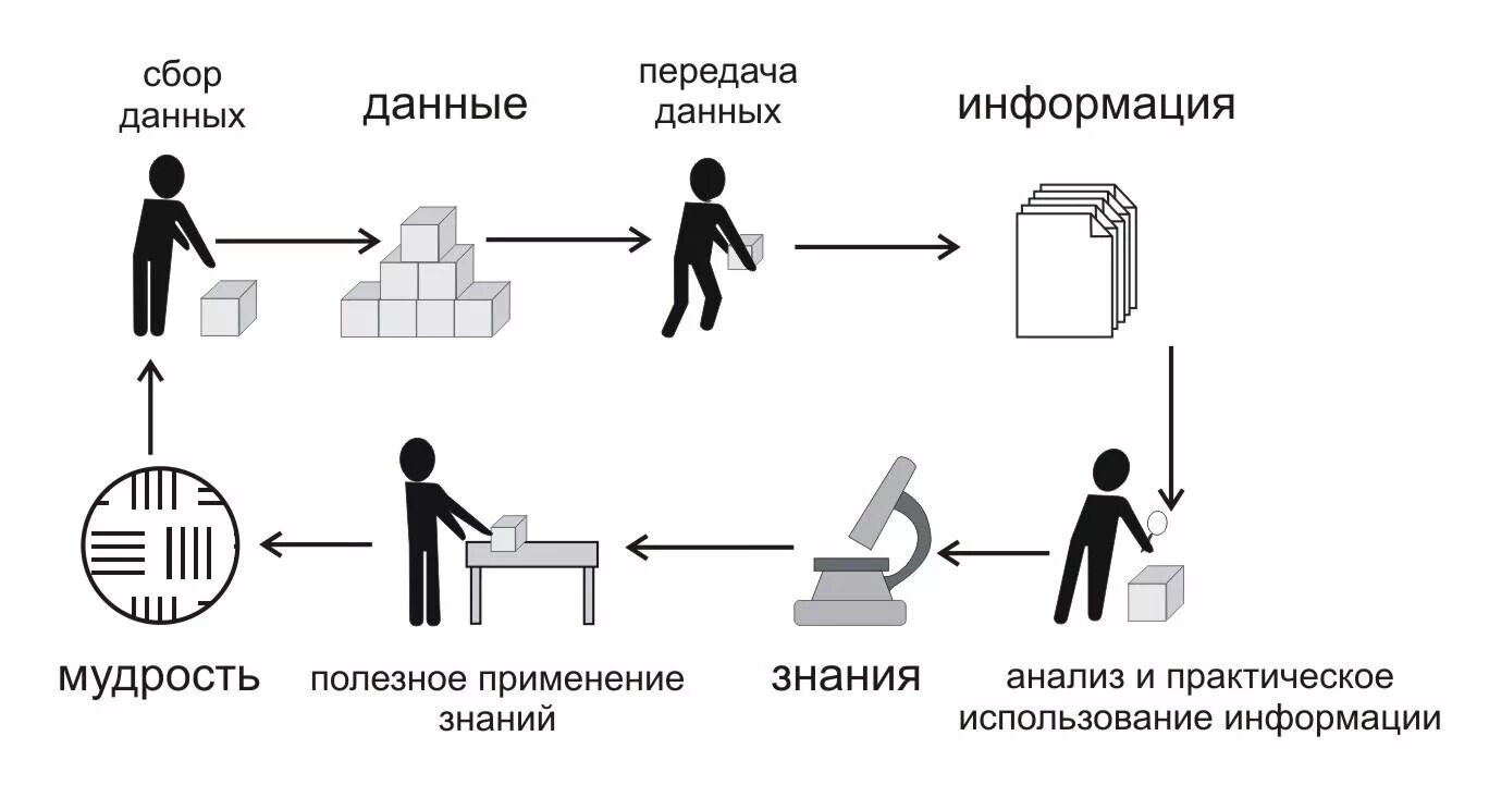 Аналитический сбор данных. Сбор информации схема. Жизненный цикл информации. Данные и информация. Жизненный цикл данных.