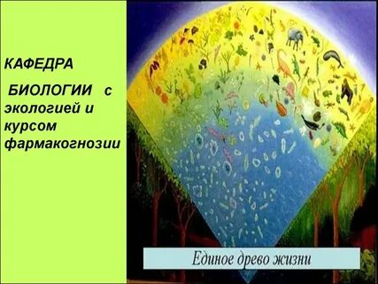 Факультет биология экология