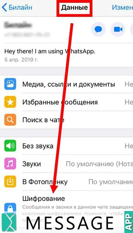 Шифрование в whatsapp. Сквозное шифрование Вэт САП. Что такое сквозное шифрование в ватсапе. Код безопасности изменился WHATSAPP. Как убрать сквозное шифрование.