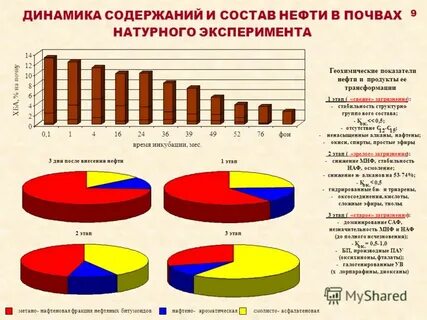 Содержание динамика