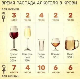 Сколько выводится красное вино из организма