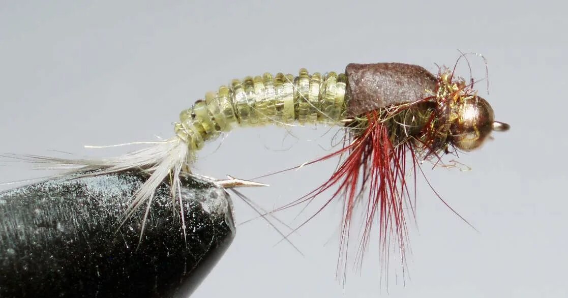 Нимфа на хариуса. Муха ручейник нимфа. мушка stonefly nymph. мушка ручейник на хариуса. нимфа ручейник на хариуса.