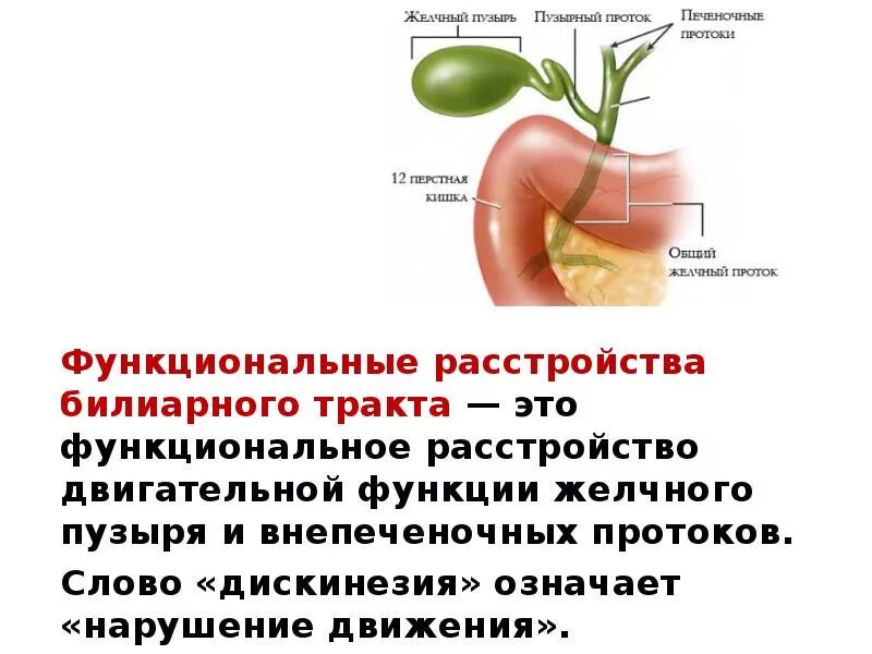 Тонус желчного пузыря. Патогенез нарушения билиарного тракта. Функциональное билиарное расстройство желчного пузыря. Функциональные заболевания билиарного тракта. Функциональные расстройства желчного пузыря и билиарного тракта.