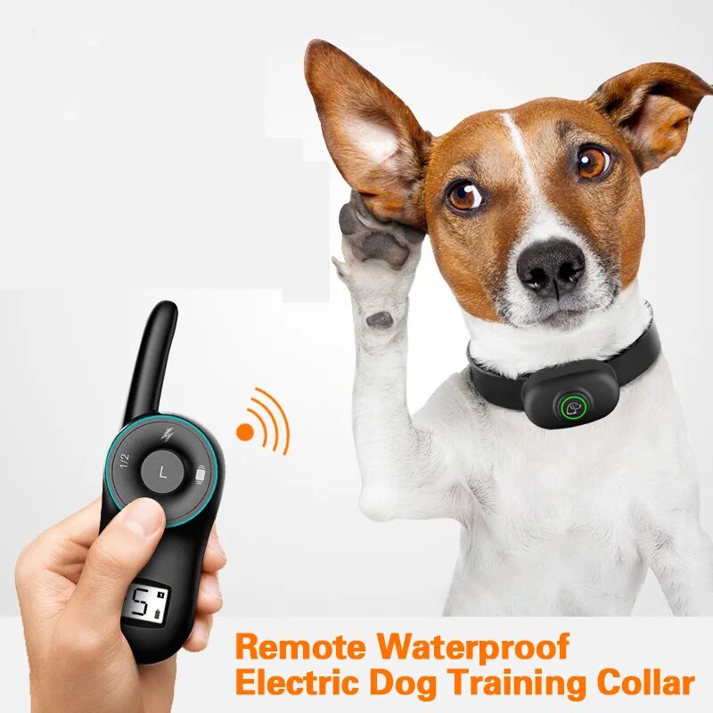 Электрический ошейник для собак купить. Ошейник Remote Dog Training. Электрический ошейник для собак. Ошейник для собак электронный для дрессировки собак. Электроошейник для дрессировки собак.