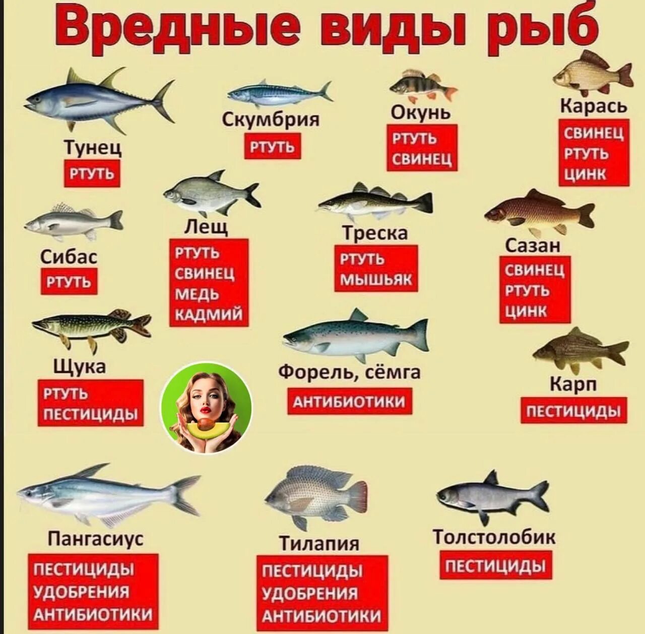 Каких цветов бывает рыбы. На каждую рыбу найдется рыба покрупнее. какие рыбы бывают в чечне.