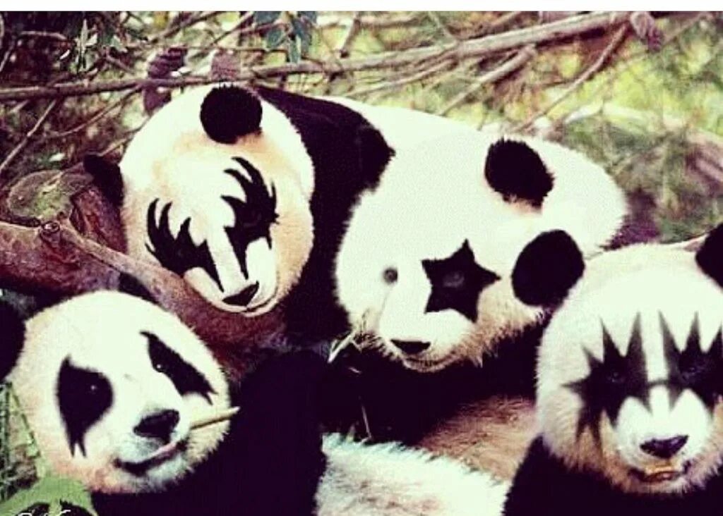 Pandas r
