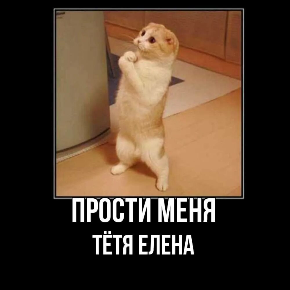 Открытка прости меня. Ну хорошо простите меня. Ну ладно прощаю. Милый котик извини. Ну хорошо простите меня.