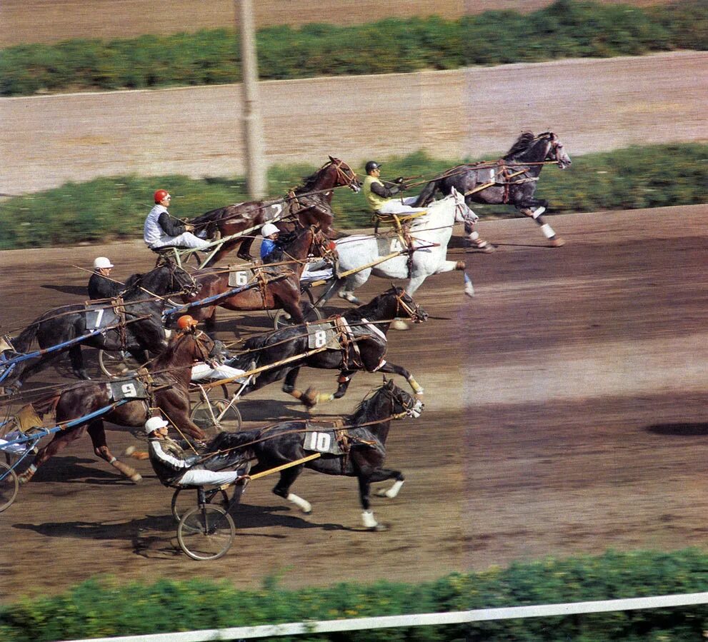 Рысистые бега на московском ипподроме. Состязание рысаков. Состязание рысаков. Бега рысаков уфа акбузат. Ипподром казань лидер рысак.