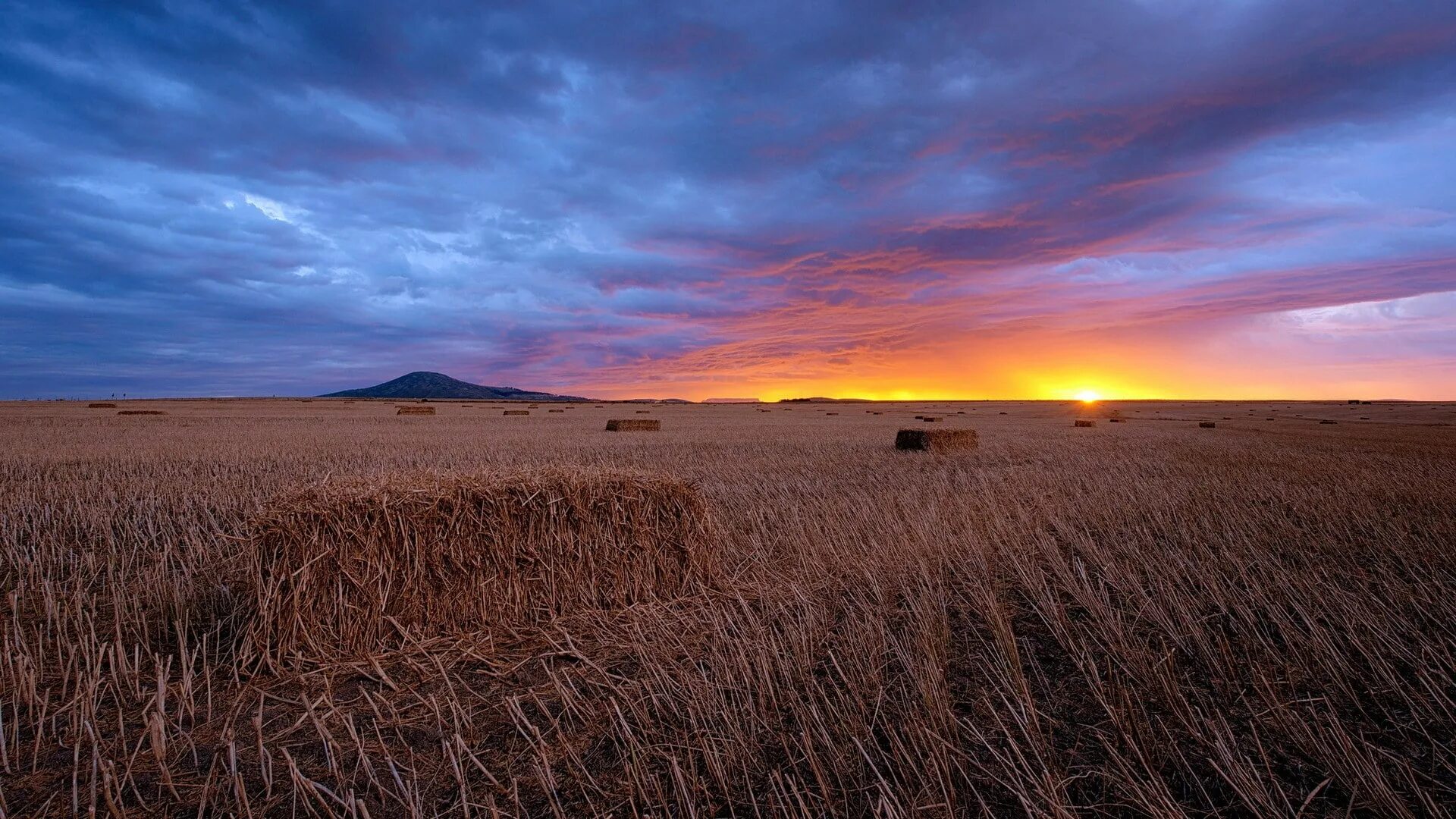 Буджакская степь. Вечерняя степь. Закат в поле. Закат в степи. Fields field html