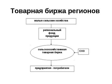 Организация бирж