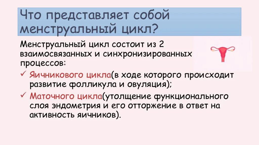 Менструальный цикл. Нормальный менструальный цикл. Нарушение менструального цикла при анемии. 3 Основных компонента нормального менструационного цикла.