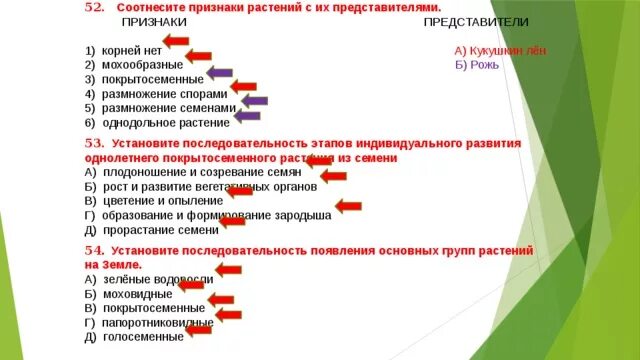 Последовательность этапов развития однолетнего цветкового растения. Этапы развития однолетнего растения. Этапы развития однолетнего покрытосеменного растения из семени. Последовательность развития однолетних растений из семени.