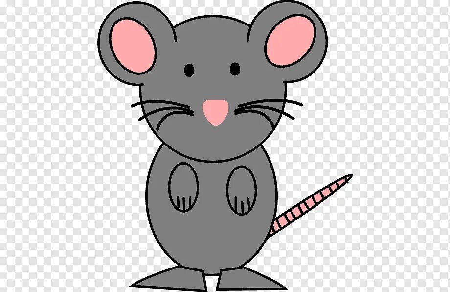 A mouse a small body