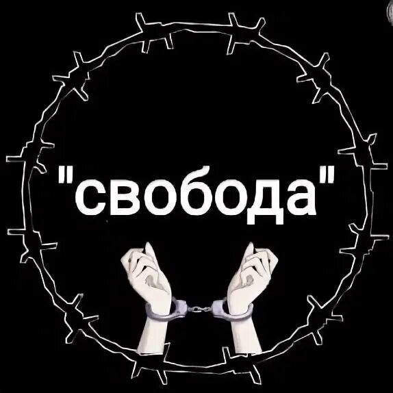 Свобода в отношениях. Высказывания о свободе. Прикольные фразы про свободу. Включи не свобода. Включи не свобода.