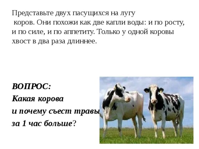Представьте двух
