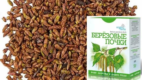 Березовые почки продать