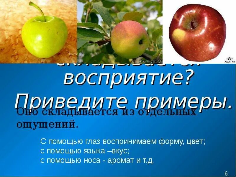 Примеры ощущения и восприятия и представления. Примеры ощущения и восприятия. приведите пример восприятия. пример ощущения. приведите свои примеры ощущения и восприятия.