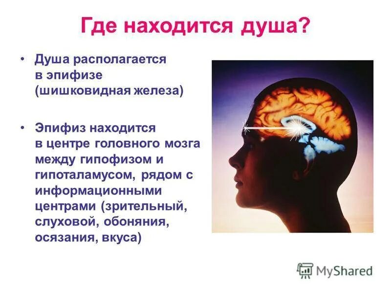 Где находится душа. Где душа у человека. Где находится душа у человека в теле. Эпифиз головного мозга. Душа откуда она