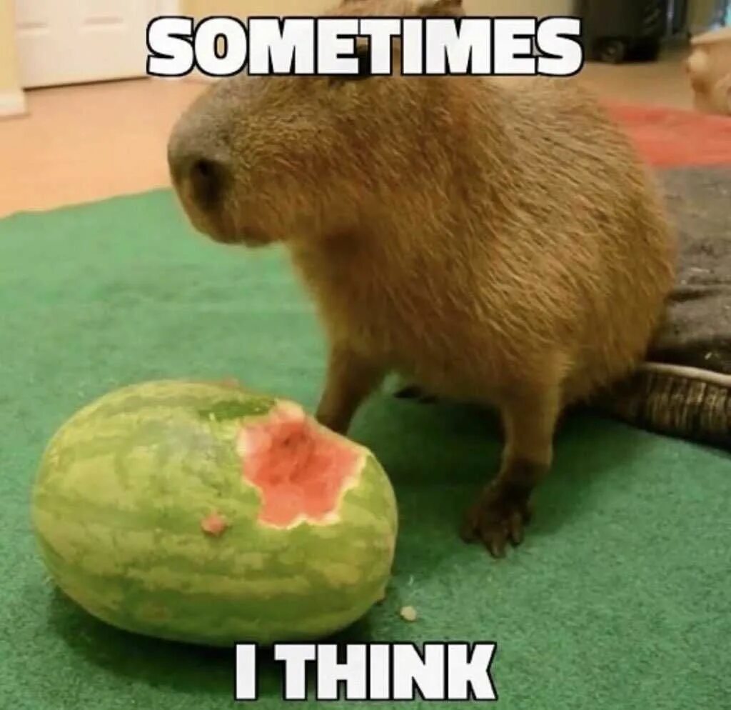 Tps t me capybara playbot start url66